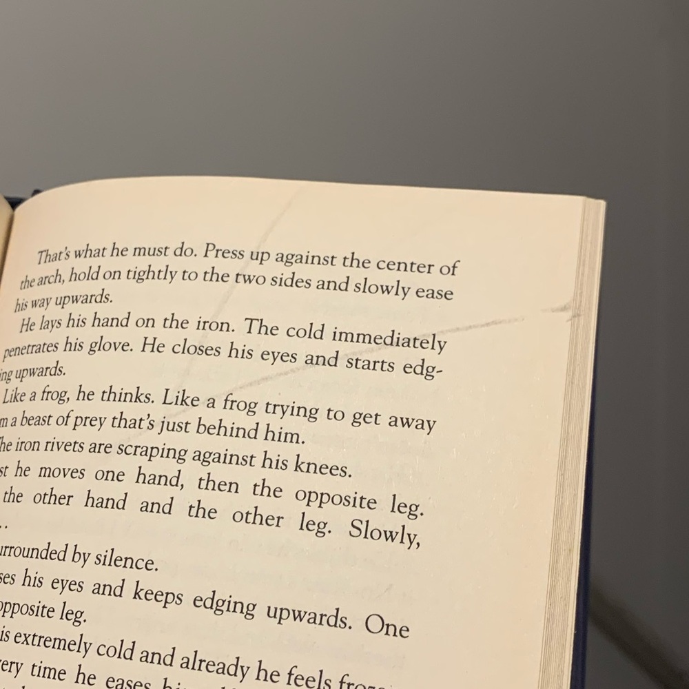 A Bridge To The Stars - Henning Mankell - Picture 3 of 3